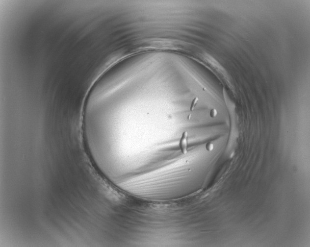 X0000073861378200608312015