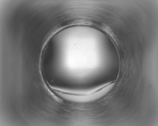 X0000073861379200608312015