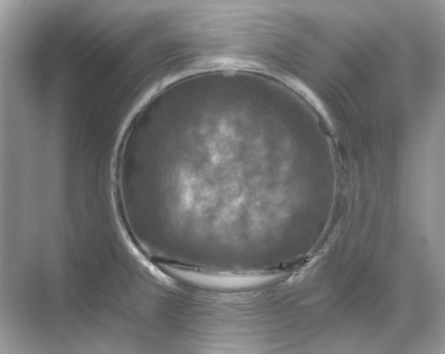 X0000073861381200608312015