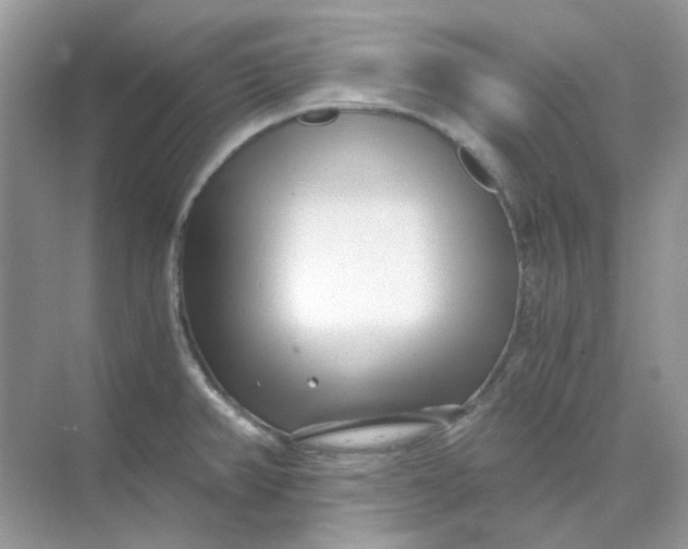 X0000073861382200608312015