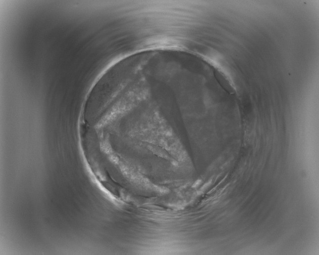 X0000073861383200608312015