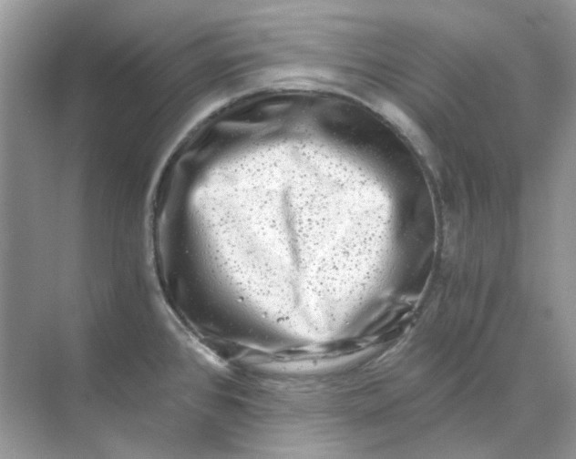 X0000073861384200608312015