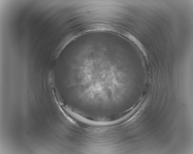 X0000073861385200608312015