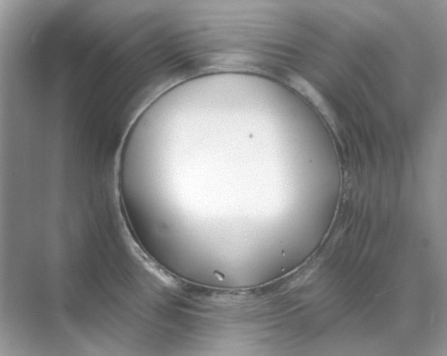 X0000073861386200608312015