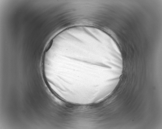 X0000073861387200608312015