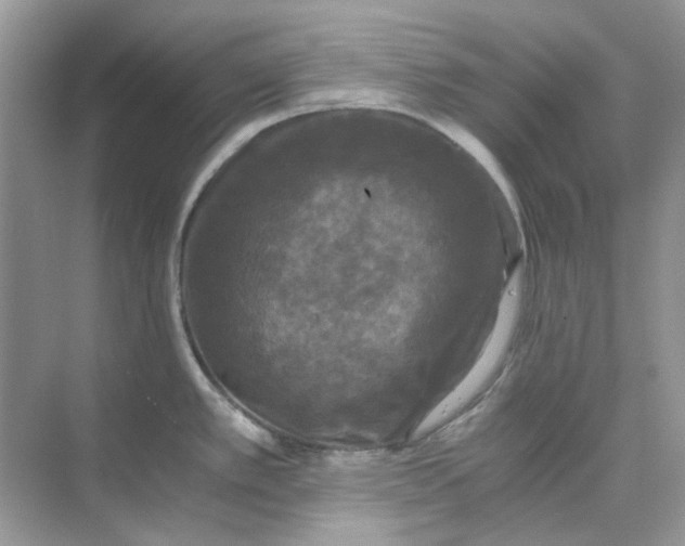 X0000073861389200608312015