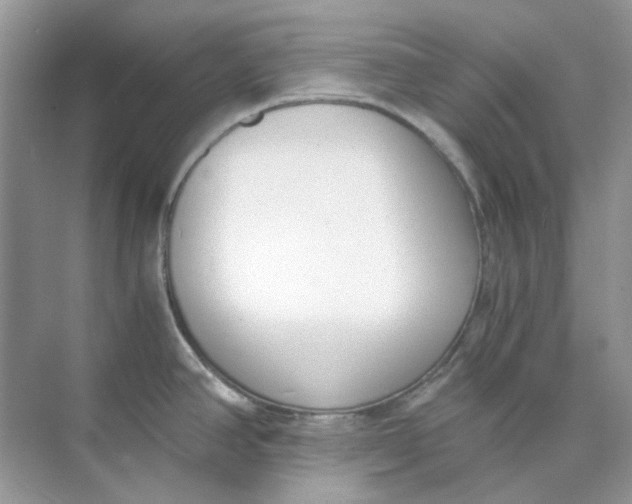 X0000073861390200608312015