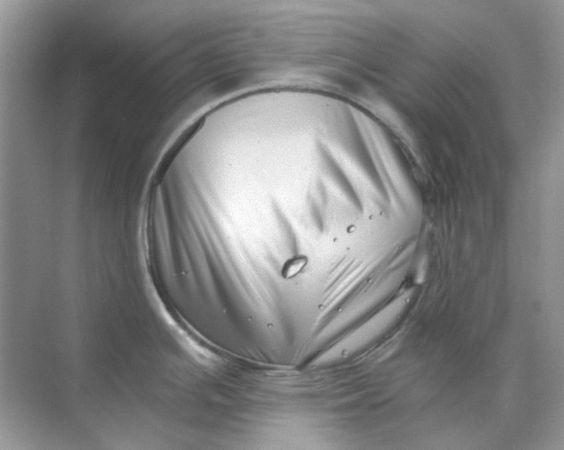 X0000073861391200608312015