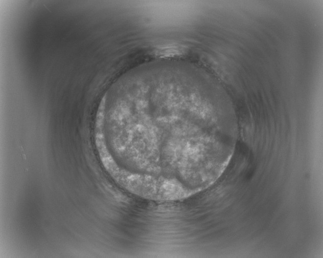 X0000073861393200608312014