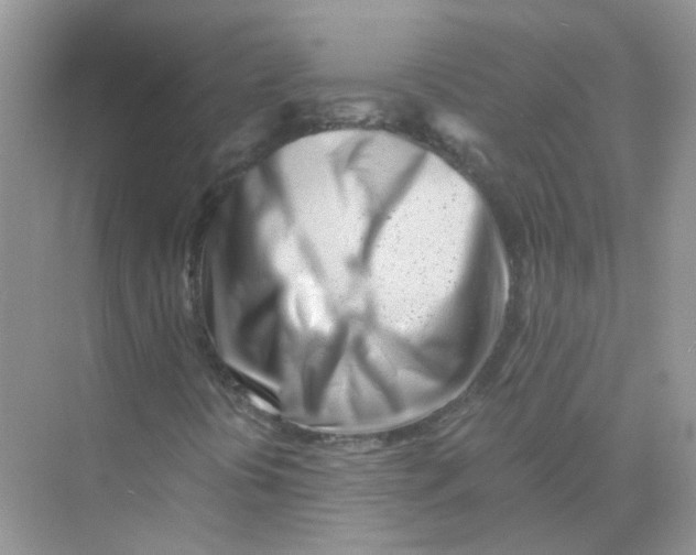 X0000073861394200608312014