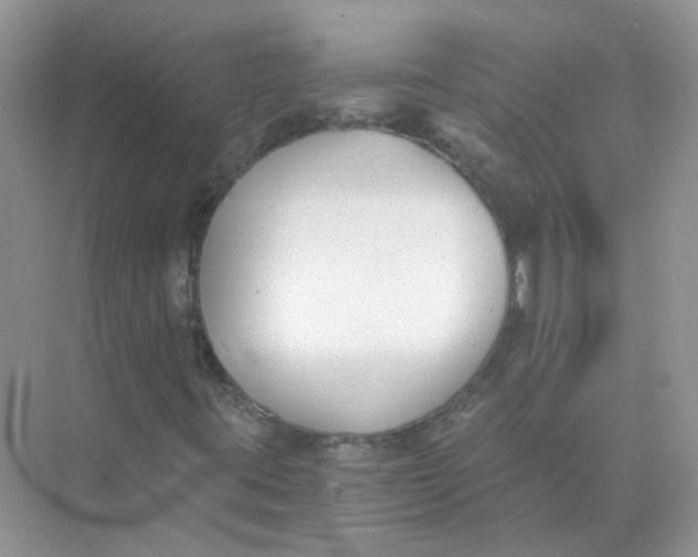 X0000073861395200608312014