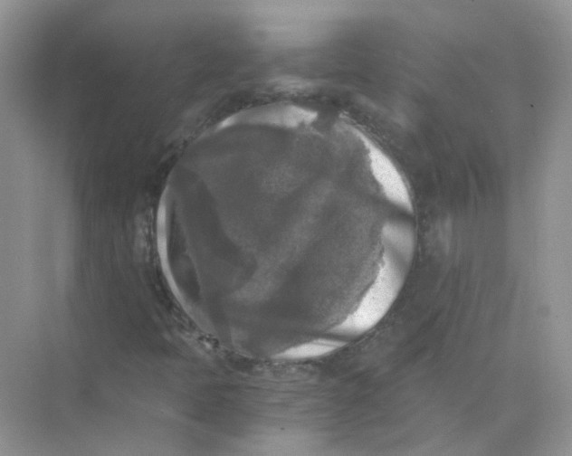 X0000073861397200608312014