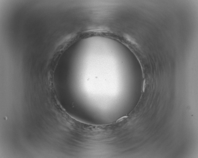 X0000073861398200608312014