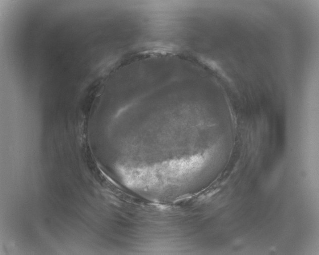 X0000073861399200608312014