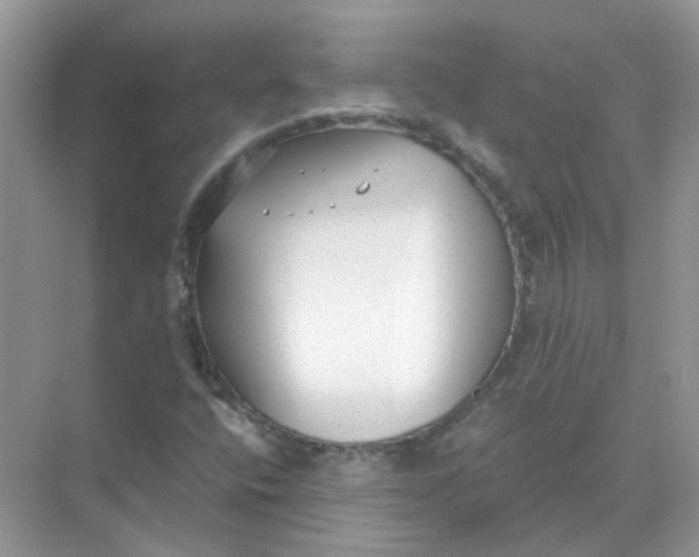 X0000073861400200608312014