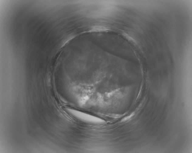 X0000073861401200608312014