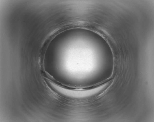 X0000073861402200608312014