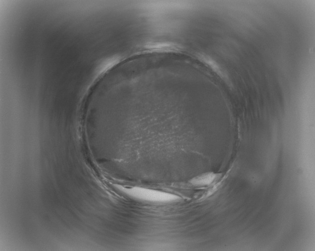 X0000073861405200608312014