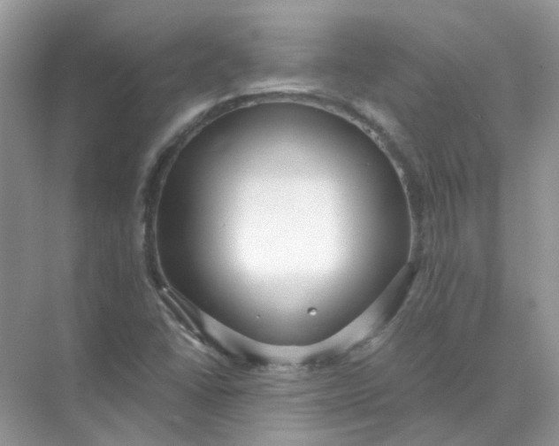 X0000073861406200608312014