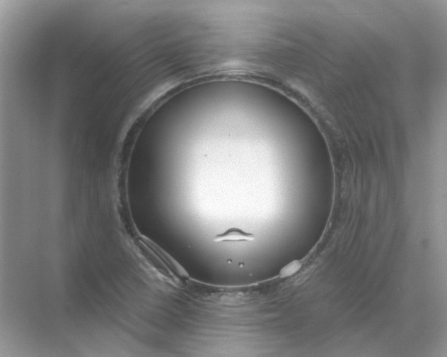 X0000073861410200608312015