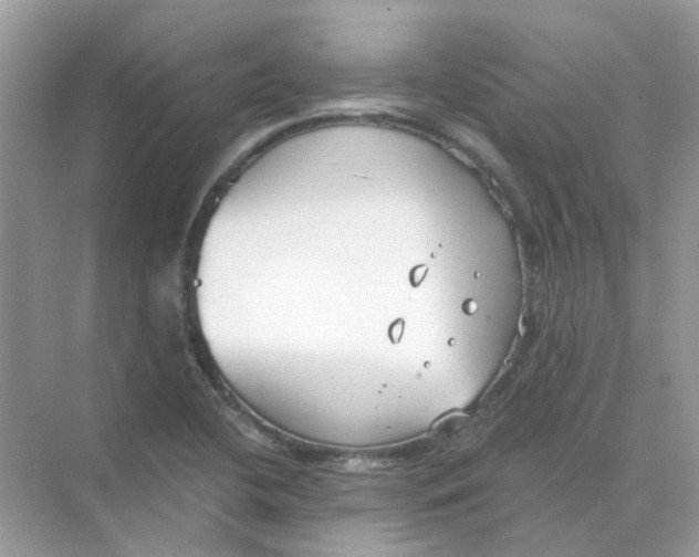 X0000073861412200608312015