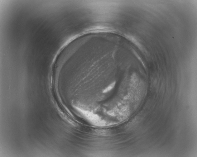 X0000073861413200608312015