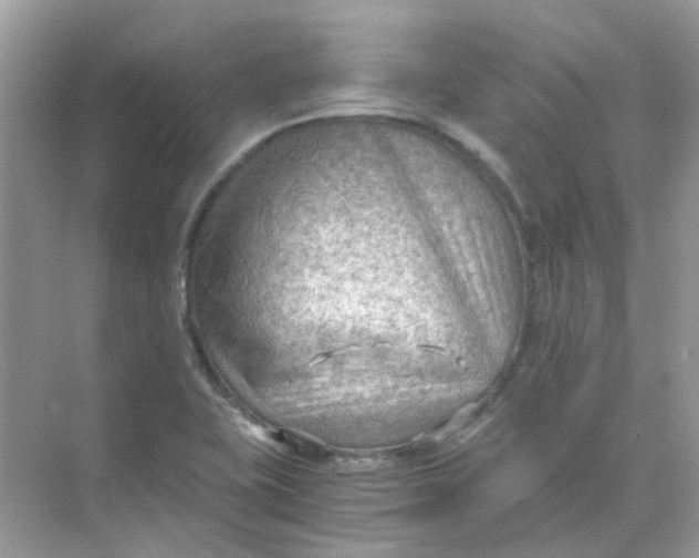 X0000073861415200608312015