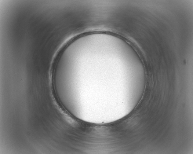 X0000073861416200608312015