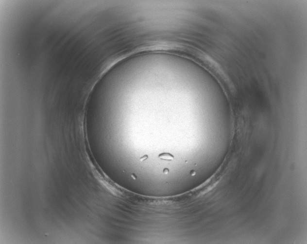 X0000073861417200608312015