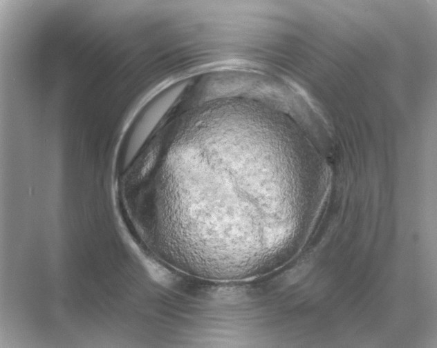 X0000073861418200608312015