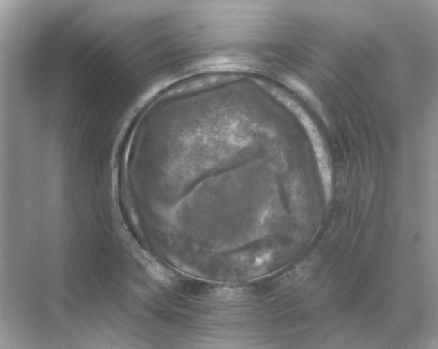 X0000073861419200608312015