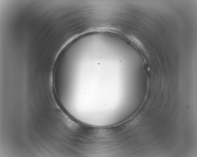 X0000073861420200608312015