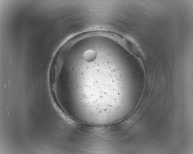 X0000073861422200608312015