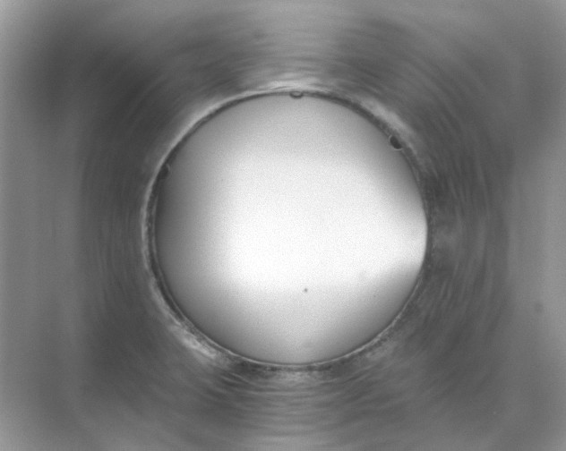 X0000073861423200608312015