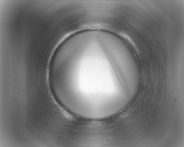 X0000073861424200608312015