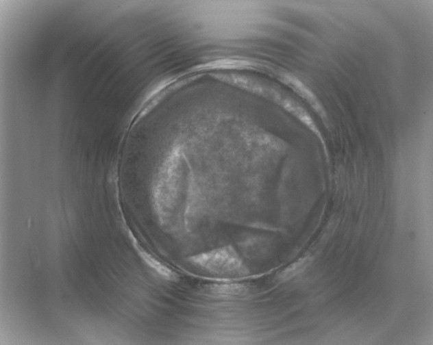 X0000073861425200608312015