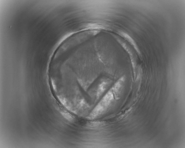 X0000073861427200608312015