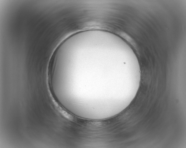 X0000073861431200608312015