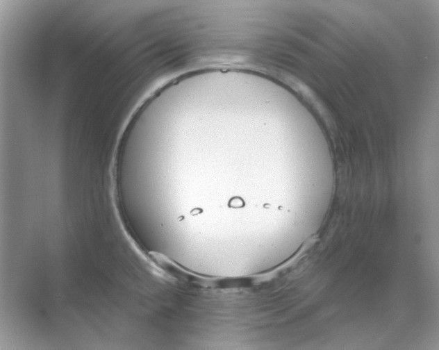 X0000073861432200608312015