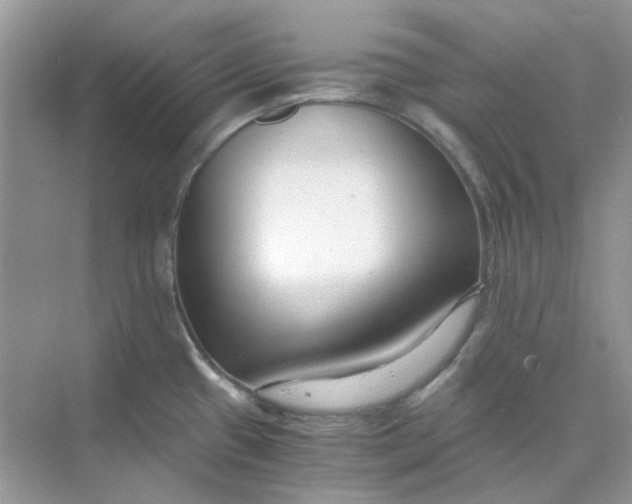 X0000073861433200608312015