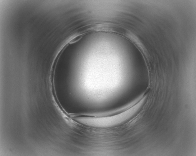 X0000073861434200608312015