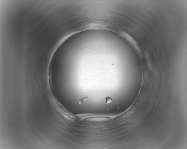 X0000073861435200608312015