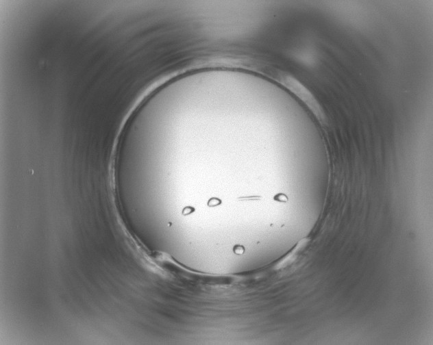 X0000073861436200608312015