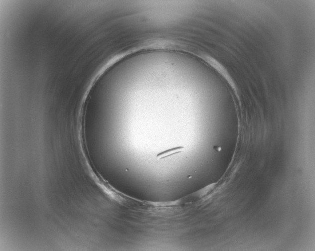 X0000073861437200608312015