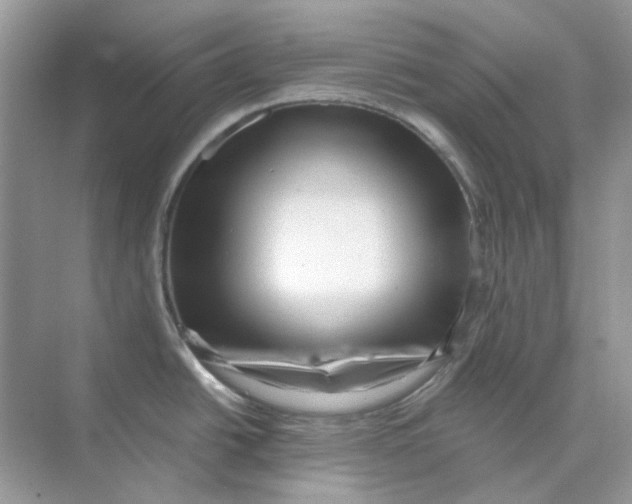 X0000073861438200608312015