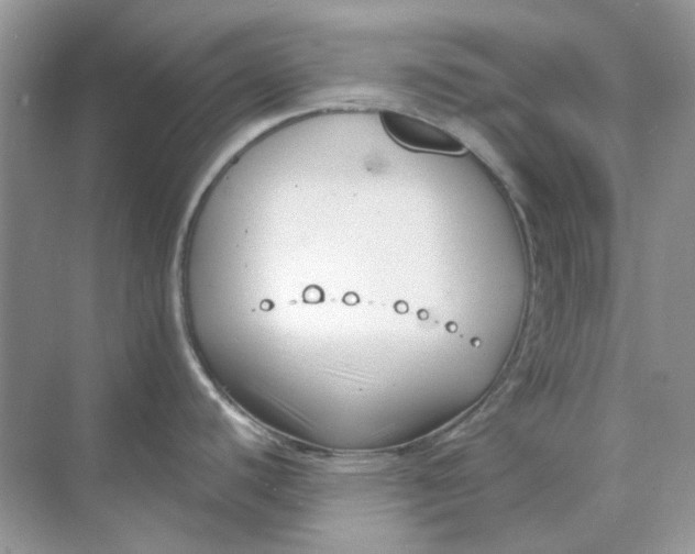 X0000073861440200608312015