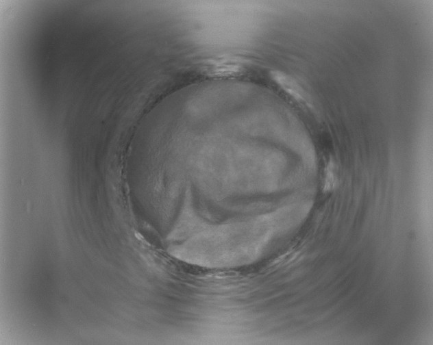 X0000073861441200608312014