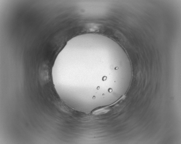 X0000073861442200608312014