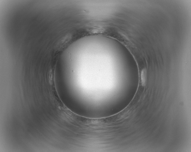 X0000073861443200608312014