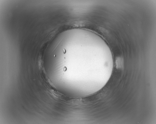 X0000073861444200608312014